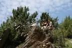 IMG-1690