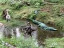 IMG-7500