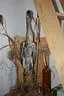IMG-1833