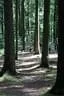 IMG-1880