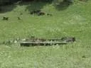 IMG-7558