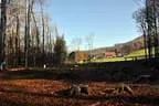 Kuerbiskopfturnier-075