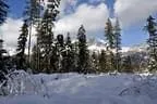 Winterparcours-2011-12-045