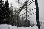 Jufen-Winterturnier-109