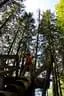 2012-05-19-Wasenmoos-128