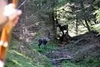 19.-Rauris-164