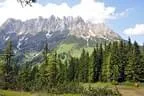 DSC-0234
