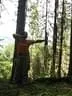 IMG-0086