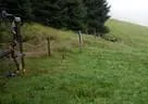 IMGP2632
