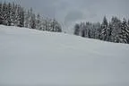 DSC-0648