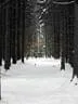 DSCN0545