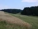 DSCN1481