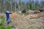 DSC-0091