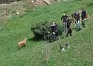 2014-Hermann-89