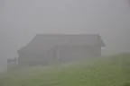 DSC-0002