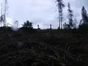 DSCN4039