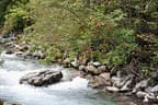 20150919_5erl_glemmerhof_001