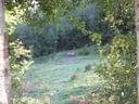 IMG-0159