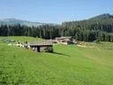Saalfelden2009-(30)