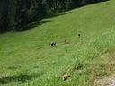 Pointenhof-Turnier-09-(210)