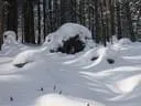 31.01-5