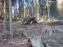 Winterparcours-(8)