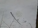 CIMG0611.JPG