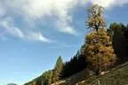jochberg2010-72