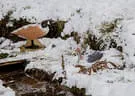 BSK Berghof Bild 6