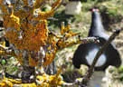 8. Losachturnier Bild 109