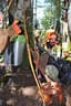 Freundewettkampf mit Stammtisch Weberbauer Bild 36