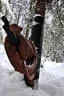 2016/17 Winterimpressionen Bild 7