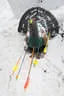 11. Saalfeldener Winterturnier Bild 130