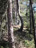 16. Bettelwurfturnier Bild 8