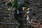 Kufsteiner Härtetest 2016 (Frank) Bild 11