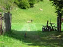 Jubiläumsturnier Losach Bild 33
