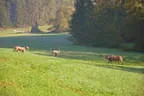 9. Jagdbogenmeisterschaft Bild 94