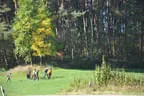 9. Jagdbogenmeisterschaft Bild 104