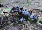 9. Jagdbogenmeisterschaft Bild 133