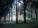 9. Jagdbogenmeisterschaft Bild 161