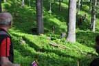 16. Int. Dolomitenturnier Tag2 2018 Bild 3