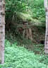 TLM/TM WA3D Rietz 2018 Bild 3