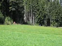 Spartan Race Oberndorf Bild 122