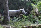 Vereinsmeisterschaft 2018 Bild 40