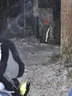 Zipfikoppnschiassn Bild 19