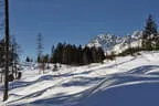 Winter 5erl beim BSC Final Target 2019 Bild 140