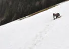 4. Rauriser Primbogenturnier 2019 Bild 26