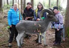 9. Turnier BSV Oberkrammern 2019 Bild 49