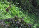 11. Iseltalturnier 2019 Bild 81