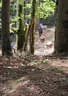 5erl BSV Avalon 2019 Bild 22